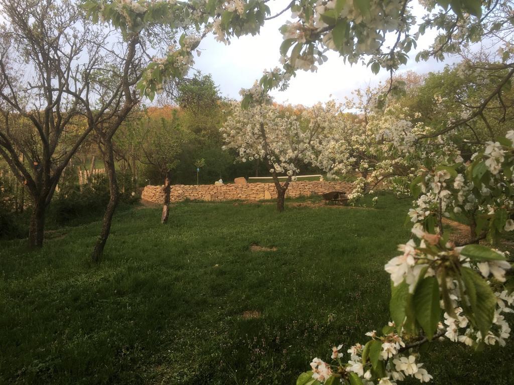 Bell House Βίλα Bukkzserc Εξωτερικό φωτογραφία